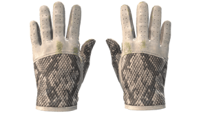 King Snake image