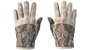 King Snake image