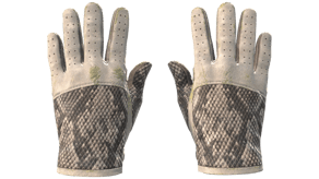 King Snake image