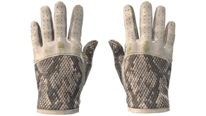 King Snake image