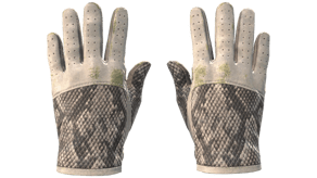 King Snake image