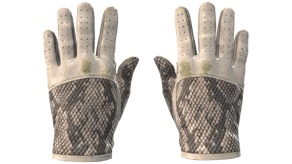 King Snake image