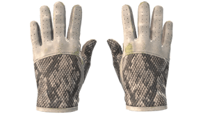 King Snake image