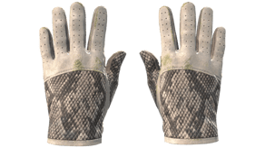 King Snake image