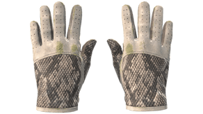 King Snake image