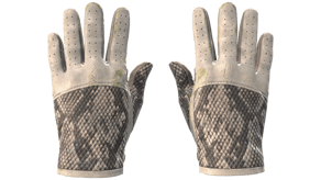 King Snake image