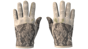 King Snake image