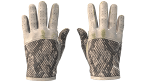 King Snake image