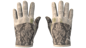 King Snake image