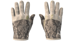 King Snake image