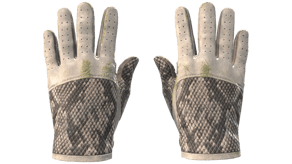 King Snake image