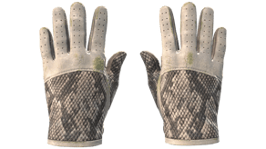 King Snake image