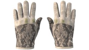 King Snake image