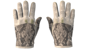 King Snake image