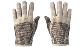 King Snake image