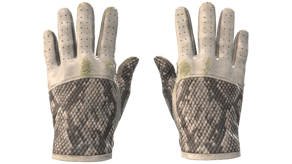 King Snake image