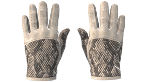 King Snake image