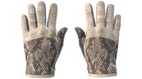 King Snake image