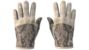 King Snake image