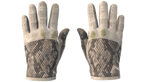 King Snake image