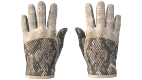 King Snake image