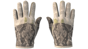 King Snake image