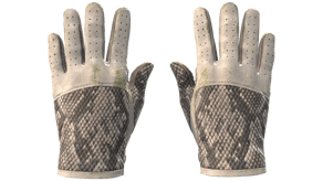 King Snake image