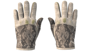 King Snake image
