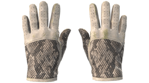 King Snake image