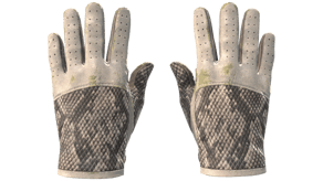 King Snake image