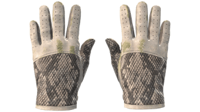 King Snake image