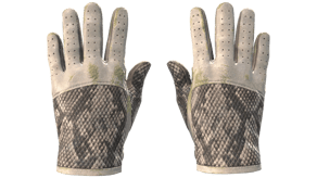 King Snake image