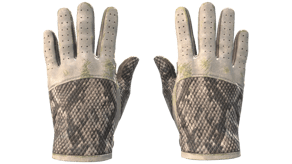 King Snake image