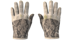 King Snake image