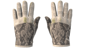 King Snake image
