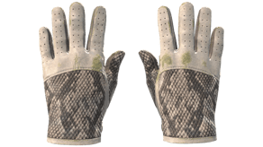 King Snake image