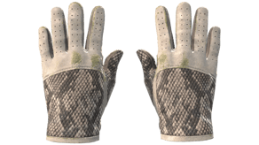 King Snake image