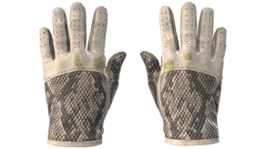 King Snake image
