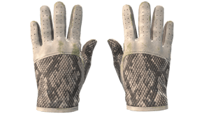King Snake image
