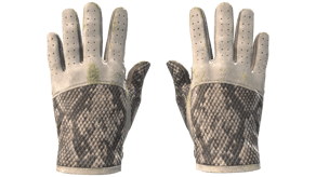 King Snake image
