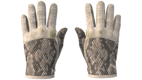 King Snake image
