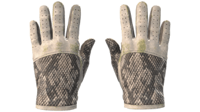 King Snake image