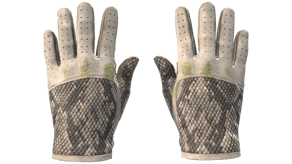 King Snake image