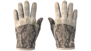 King Snake image
