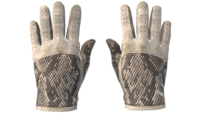 King Snake image