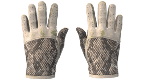 King Snake image