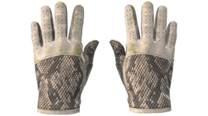 King Snake image