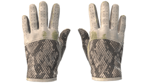 King Snake image