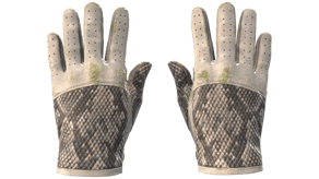 King Snake image
