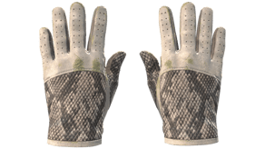 King Snake image
